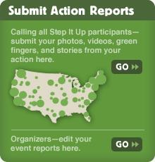 Submit Action Report Preview
